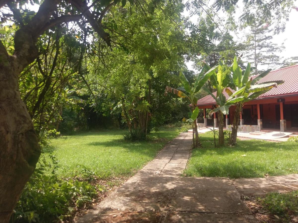 Big Foot Safari Lodge Wli Afegame エクステリア 写真